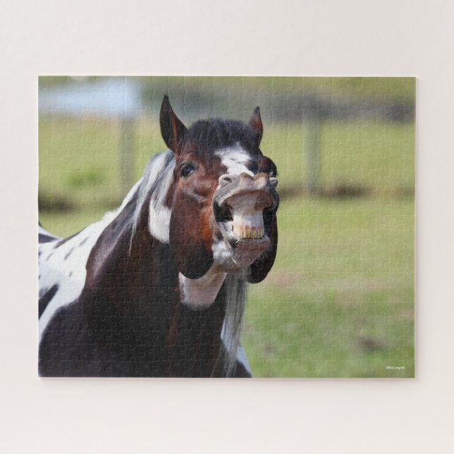 Bob Langrish | Paint Horse Hallion Flehmen Puzzle (Horizontal)