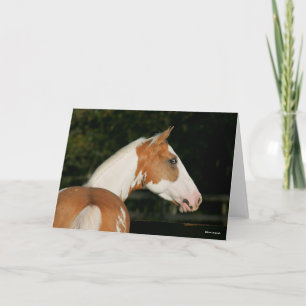 Bob Langrish   Paint Horse Headshot Karte