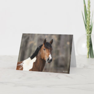 Bob Langrish   Paint Horse Headshot Karte