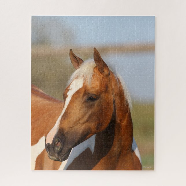 Bob Langrish | Paint Horse Headshot Puzzle (Vertikal)