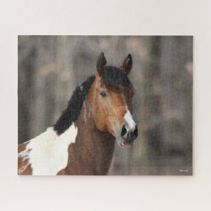 Bob Langrish   Paint Horse Headshot Puzzle