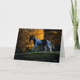Bob Langrish   Paint Horse Running Herbst Karte
