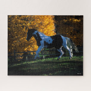 Bob Langrish   Paint Horse Running Herbst Puzzle