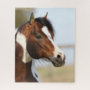 Bob Langrish   Paint Horse Stallion Headshot Puzzle