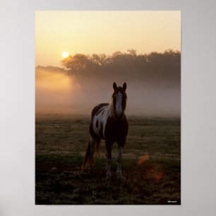 Bob Langrish   Paint Horse Stehend Mist Sunrise Poster
