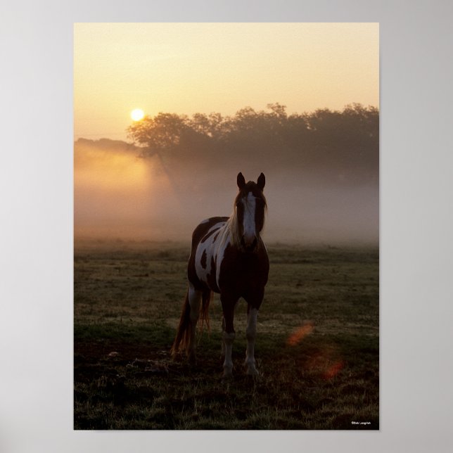 Bob Langrish | Paint Horse Stehend Mist Sunrise Poster (Vorne)