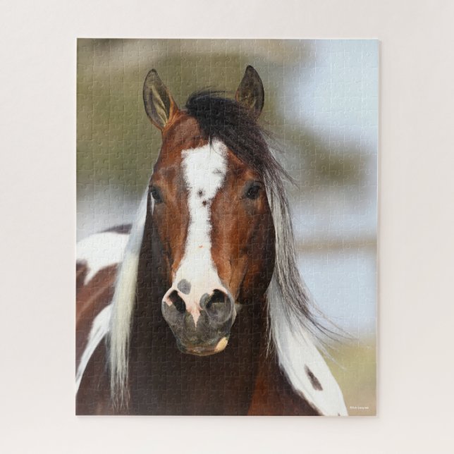 Bob Langrish | Paint Stallion Headshot Puzzle (Vertikal)
