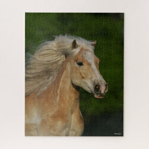 Bob Langrish   Palomino Haflinger Headshot Puzzle