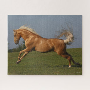 Bob Langrish Palomino Lusitano Stallion Leaping Puzzle