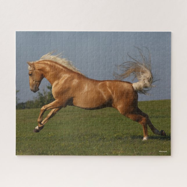 Bob Langrish | Palomino Lusitano Stallion Leaping Puzzle (Horizontal)