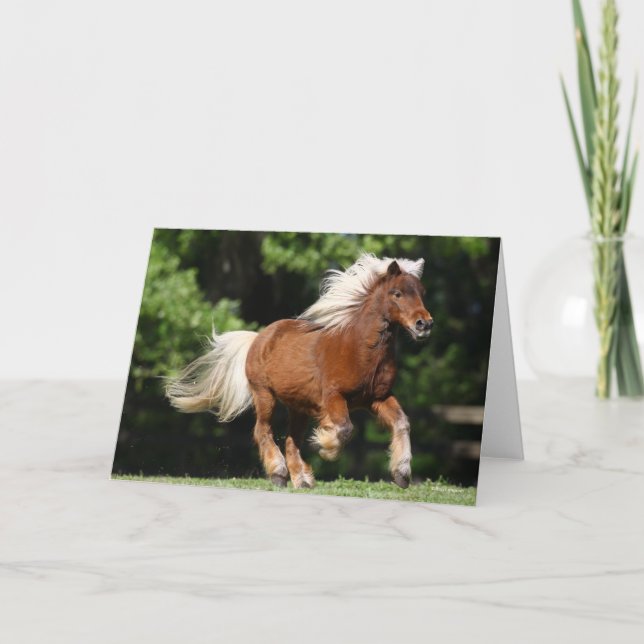 Bob Langrish | Palomino Miniaturpony Running Karte (Vorderseite)