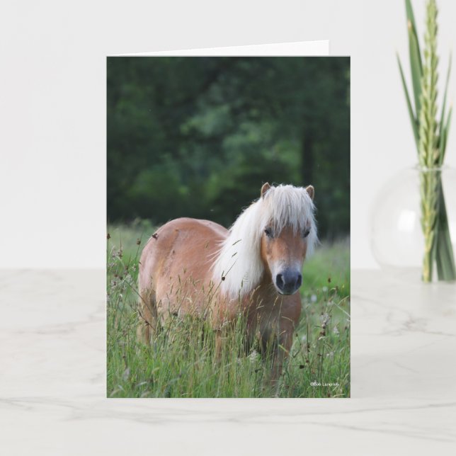 Bob Langrish | Palomino Shetland Stehend im Gras Karte (Vorderseite)