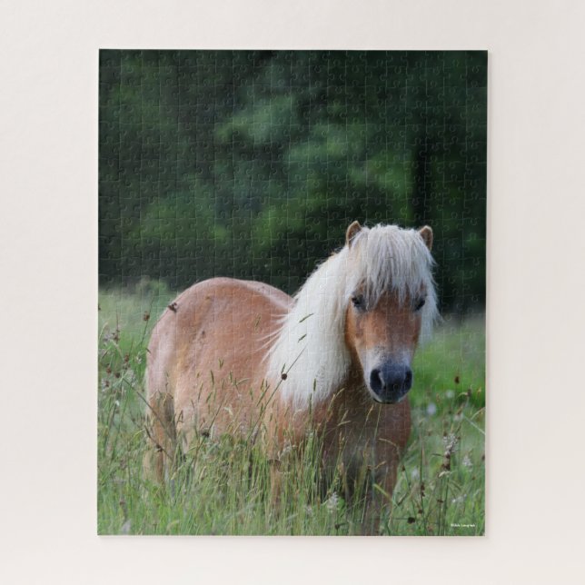Bob Langrish | Palomino Shetland Stehend im Gras Puzzle (Vertikal)