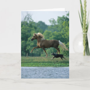 Bob Langrish   Palomino Tennessee Walker and Dog Karte