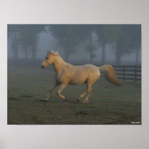Bob Langrish   Palomino Tennessee Walker in Mist Poster
