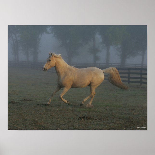 Bob Langrish | Palomino Tennessee Walker in Mist Poster (Vorne)