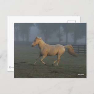 Bob Langrish   Palomino Tennessee Walker in Mist Postkarte
