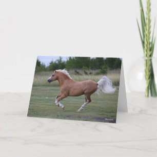 Bob Langrish   Palomino Welsh Pony Running Karte