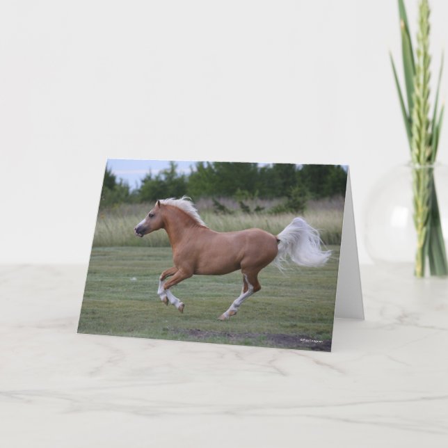 Bob Langrish | Palomino Welsh Pony Running Karte (Vorderseite)