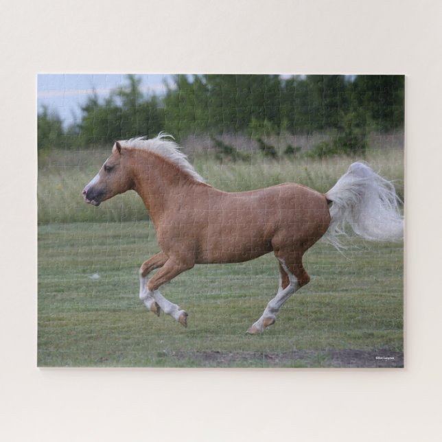 Bob Langrish | Palomino Welsh Pony Running Puzzle (Horizontal)