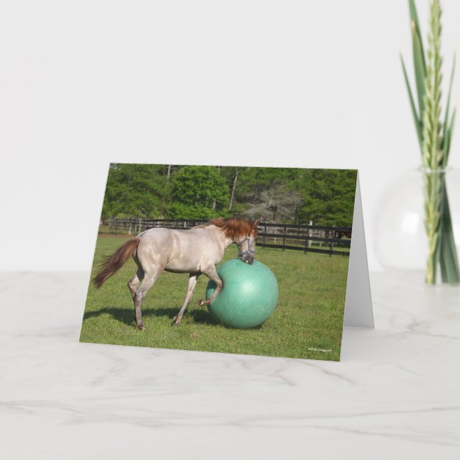 Bob Langrish | Paso Fino Pferd mit Ball spielen Karte (Vorderseite)