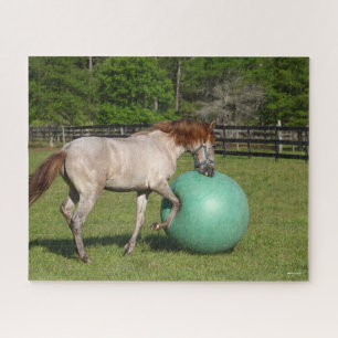 Bob Langrish   Paso Fino Pferd mit Ball spielen Puzzle