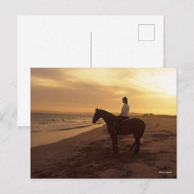 Bob Langrish | Pferd und Reiter On Beach bei Sunse Postkarte (Vorne/Hinten)