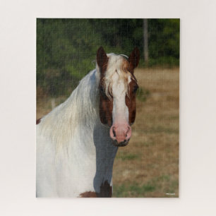 Bob Langrish   Pinto Haflinger Pferdekopfschuss Puzzle