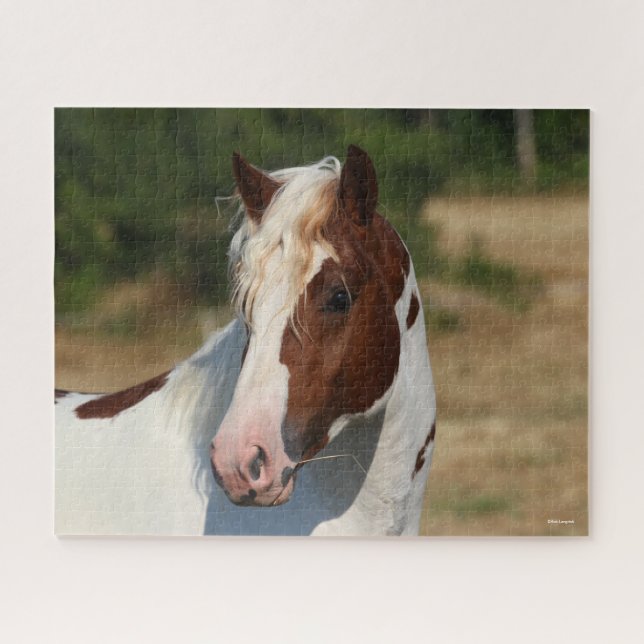 Bob Langrish | Pinto Haflinger-Stallion-Headshot Puzzle (Horizontal)