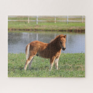 Bob Langrish   Pony Foal-Miniatur-Stehende Puzzle