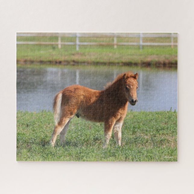 Bob Langrish | Pony Foal-Miniatur-Stehende Puzzle (Horizontal)