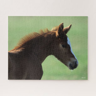 Bob Langrish   Quarter Horse Foal Backlit Puzzle