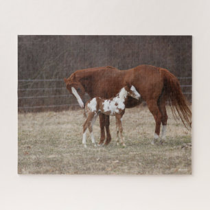 Bob Langrish   Quarter Horse Mare and Paint Foal Puzzle