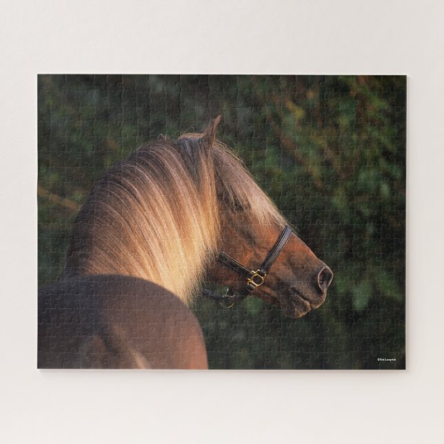 Bob Langrish | Rocky Mountain Horse Headshot Puzzle (Horizontal)