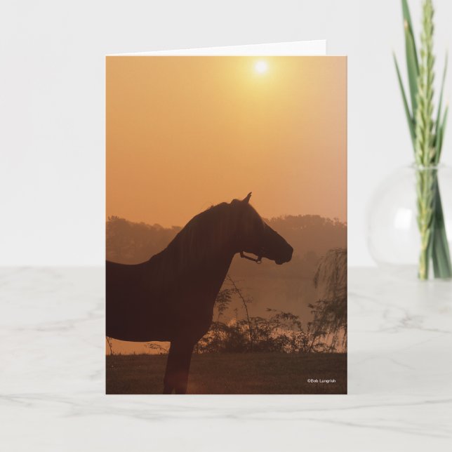 Bob Langrish | Rocky Mountain Horse Silhouette Karte (Vorderseite)