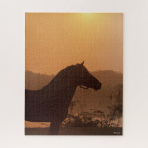 Bob Langrish   Rocky Mountain Horse Silhouette Puzzle
