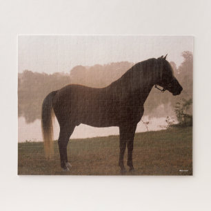 Bob Langrish Rocky Mountain Pferd Stehend Backlit Puzzle