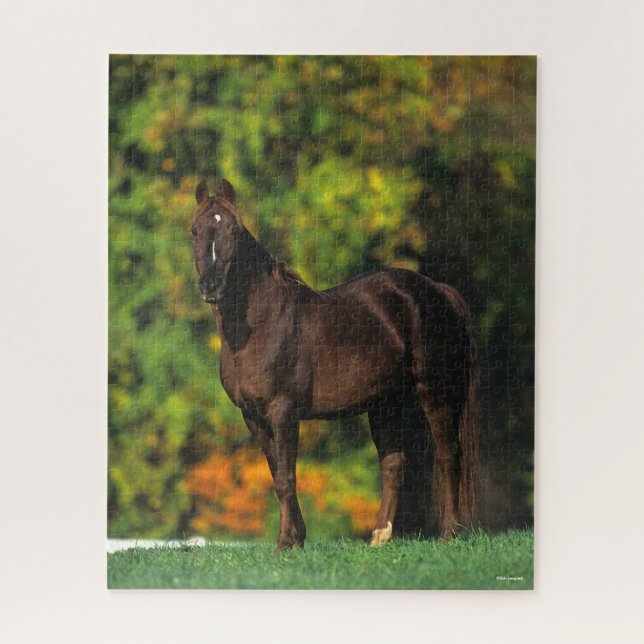 Bob Langrish Rocky Mountain Pferd Stehend Herbst Puzzle (Vertikal)
