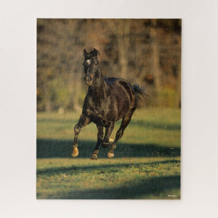 Bob Langrish Schwarzer Vollblutlauf Puzzle
