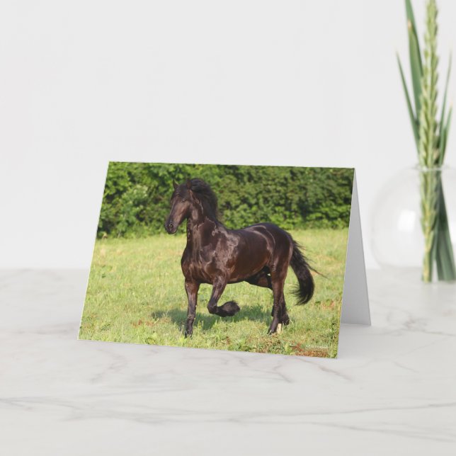 Bob Langrish | Schwarzfriespferd Karte (Vorderseite)