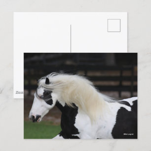 Bob Langrish Schwarzweiß-Weiß-Sinti und Roma-Vanne Postkarte