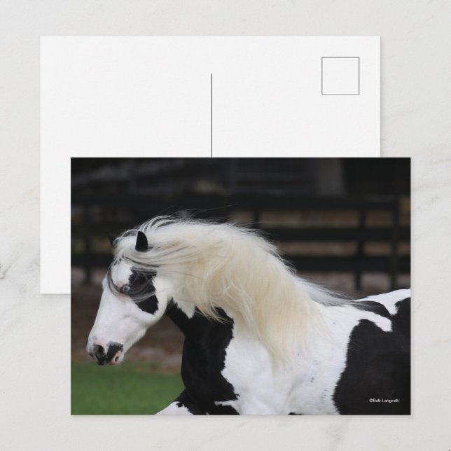 Bob Langrish Schwarzweiß-Weiß-Sinti und Roma-Vanne Postkarte (Vorne/Hinten)