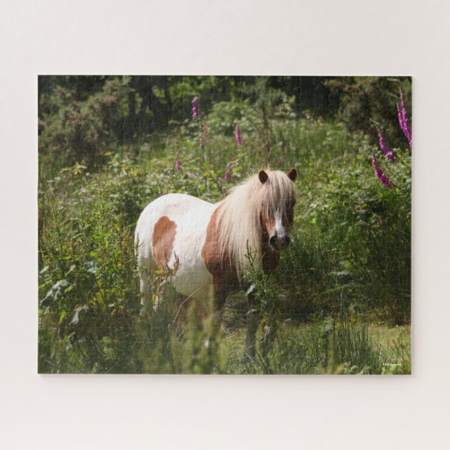 Bob Langrish | Shetland Pony Stehend in Blume Puzzle (Horizontal)