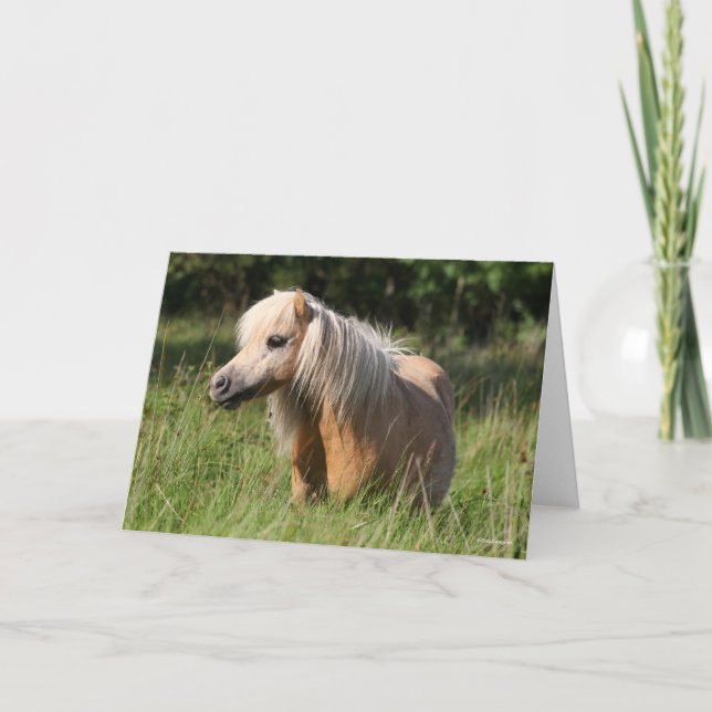 Bob Langrish Shetland Pony Stehend in Long Grass Karte (Vorderseite)