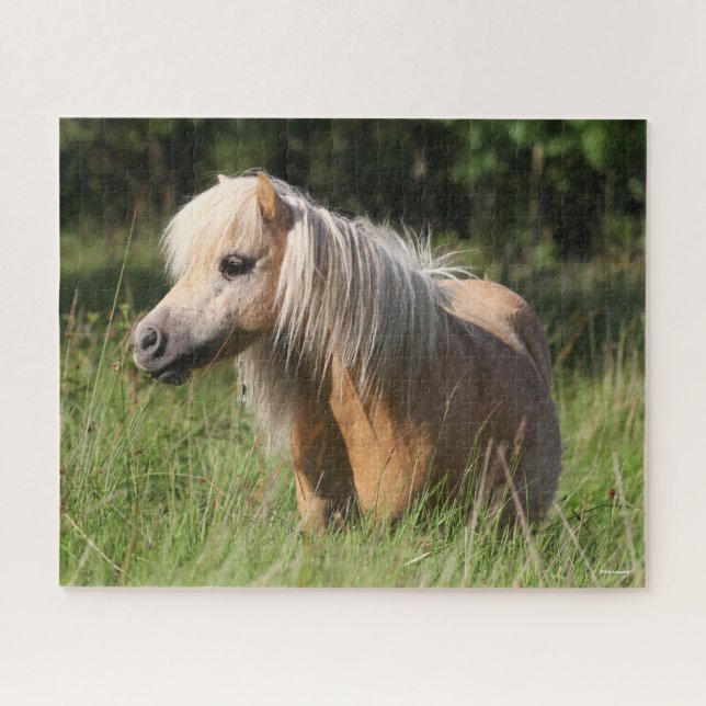 Bob Langrish Shetland Pony Stehend in Long Grass Puzzle (Horizontal)