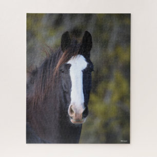 Bob Langrish Shire Horse Headshot Puzzle