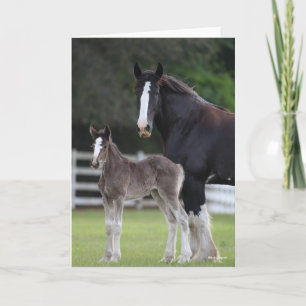Bob Langrish   Shire Horse Mare and Foal Stehend Karte