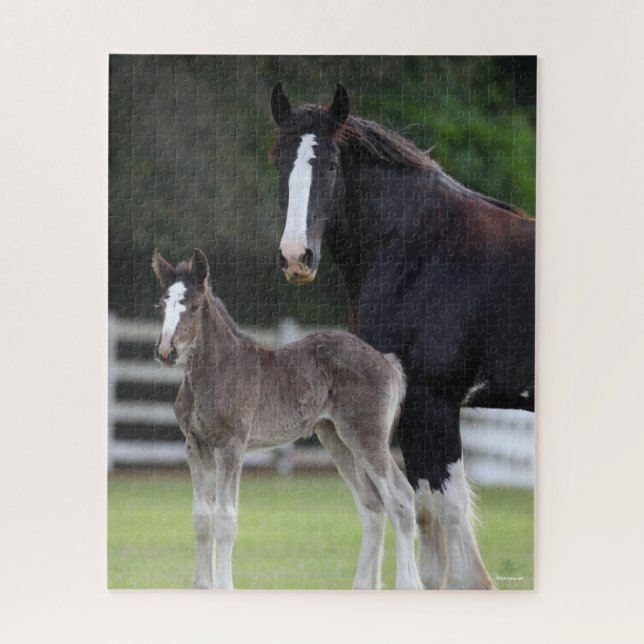 Bob Langrish | Shire Horse Mare and Foal Stehend Puzzle (Vertikal)