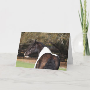 Bob Langrish Sinti und Roma Vanner Headshot Karte