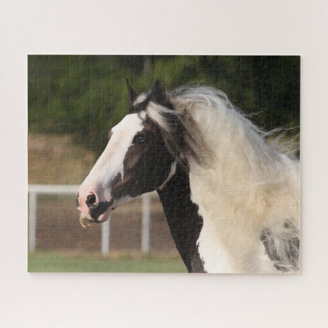 Bob Langrish | Sinti und Roma Vanner Headshot Puzzle (Horizontal)